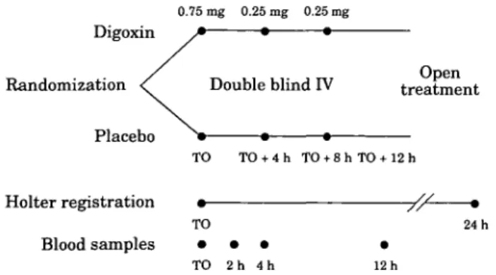 Figure 1 Flow chart of the study. IV=intravenously;