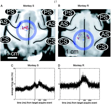 Figure 1.2.sulci (AS), principle sulci (PS), and central sulcus (CS).  Recording sites that yielded reward interval activity are shown as red dots, and the remaining recording sites are blue
