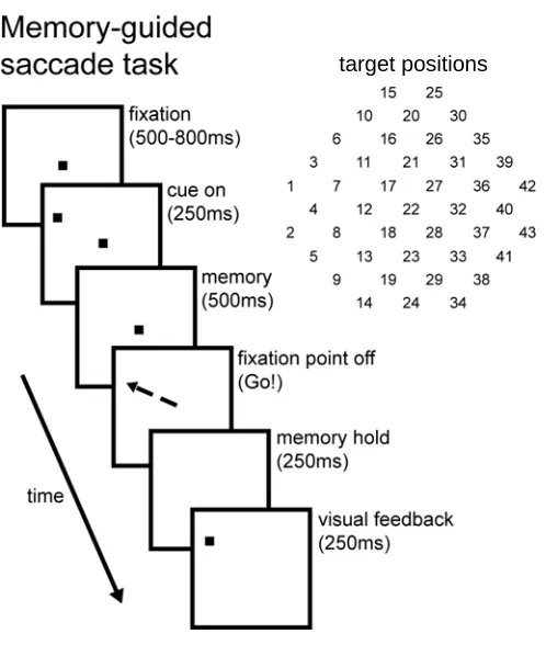 Figure 2.1. Time course of oculomotor task. The temporal progression is shown in successive panels from top left to bottom right