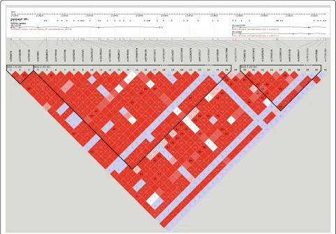 Figure 5 Linkage disequilibrium structure of SLC25A12 autism associated expression quantitative trait loci