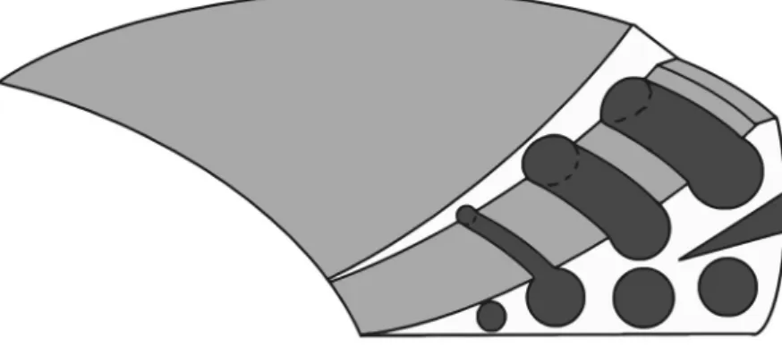 Figure 6. Schematic representation of scaffold design to enable the differentiation of tissue into the desired  configuration.