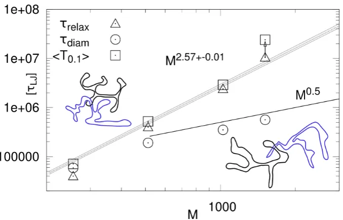 Figure 4.6:Three dynamic relaxation times for rings in concentrated solution.bound: the crossover to diﬀusive motion has not yet occurred at the longest computationallyaccessible times
