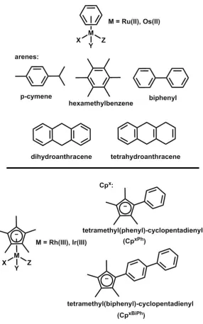 Figure 1.6. General structure of half-sandwich “piano-stool” complexes with typical