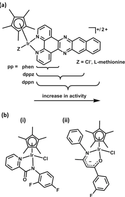 Figure 1.13. Half-sandwich Ir(III) complexes studied for anticancer activity (a) use