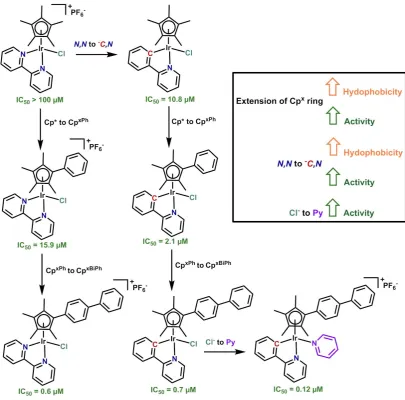 Figure 1.14. Half-sandwich Ir(III) anticancer complexes investigated within the