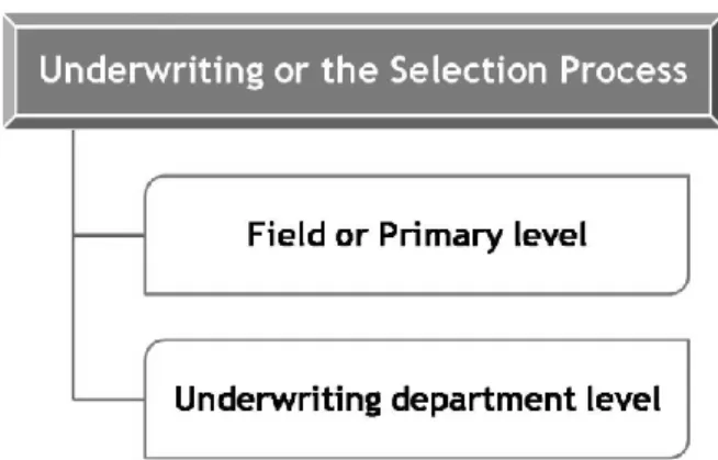 Diagram 1: Underwriting or the selection process 