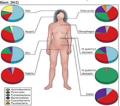 Figure 1-1: Differences in human microbiome according to anatomical site (Cho and Blaser, 2012)  