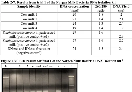 Table 2-7: Results from trial 1 of the Norgen Milk Bacteria DNA isolation kit Sample identity DNA concentration 260/280 DNA Yield 
