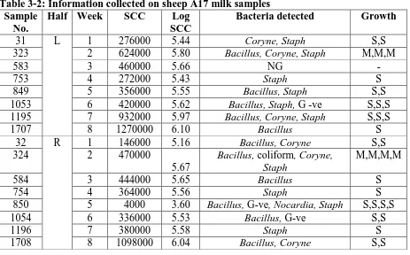Table 3-2: Information collected on sheep A17 milk samples Sample Half Week SCC Log Bacteria detected 