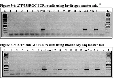 Figure 3-4: 27F/338RGC PCR results using Invitrogen master mix 14 