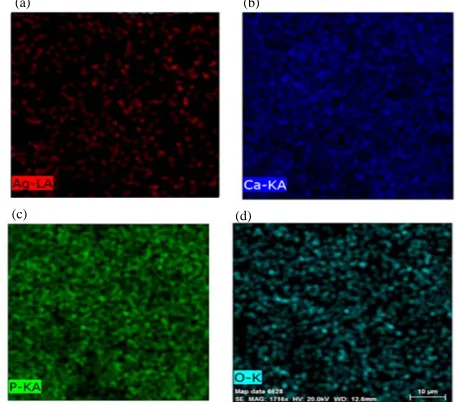 Fig. 1: XRD results of HA specimen at 1000, 1200  and1250°C 