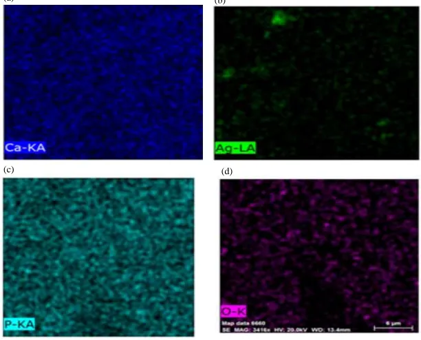 Fig. 6: FTIR of HA powder calcination at 1000°C