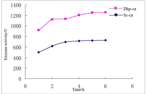 Figure 6. Effect of different extraction temperatures on PPO enzyme activities. 