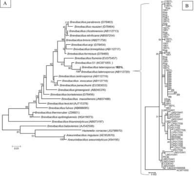 Fig. 2. Trees generated from alignment of 16S rDNA sequences ofet al. [ Brevibacillus laterosporus genomes