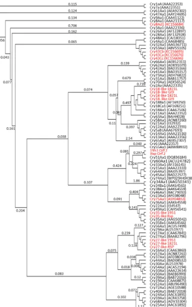 Fig. 4. Cry protein phylogeny. In red are Cry proteins frompresent in GenBank records; Cry43 and Cry8 fromwas generated using FastTree in Geneious following MUSCLE alignment using the CLUSTAL algorithm