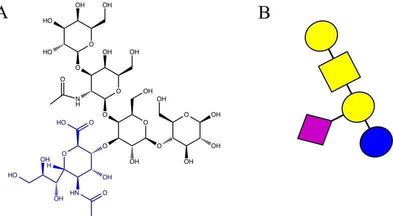 Figure 2.5 Structure of GM1 with the sugar backbone pictured in black and the side 