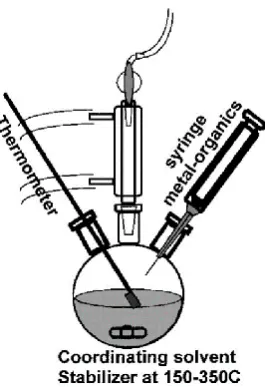 Figure 1-6 Hot injection technique for CQD synthesis (reproduced from ref26). 