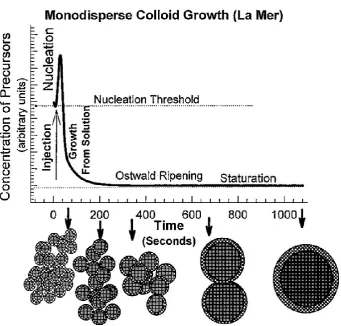 Figure 1-7 La Mer model for colloidal growth in solution (Reproduced from ref.26). 