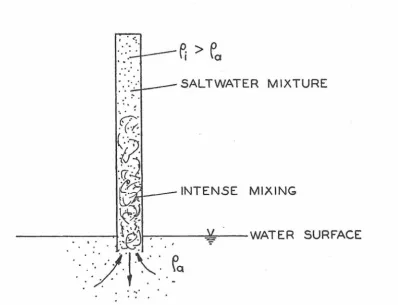 Fig. 3. 1 Schematic of Mixing Phenomena in Brine Solution Model. 