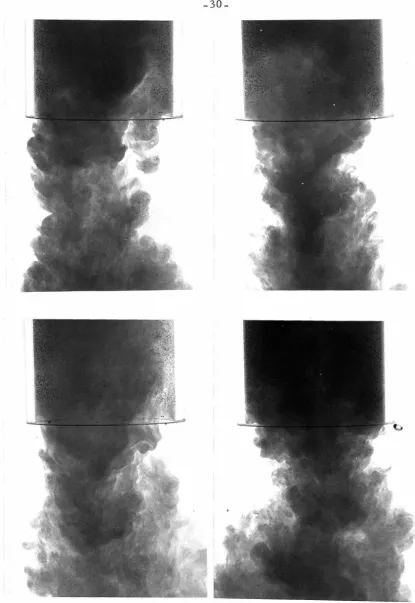 Fig. 4. 5 Mixing Phenomena at the Inlet of Tubes in the Brine Solution Model. 