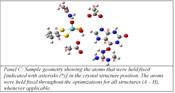 Figure 5. The total energy obtained, from geometry optimization, for the structures shown in Figure 3