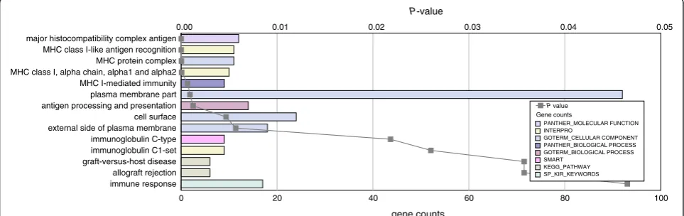 Figure 2 Overrepresented gene ontology categories for differentially expressed genes in the En2−/− adult cerebellum