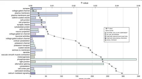 Figure 3 Overrepresented gene ontology categories for differentially expressed genes in the En2−/− adult hippocampus