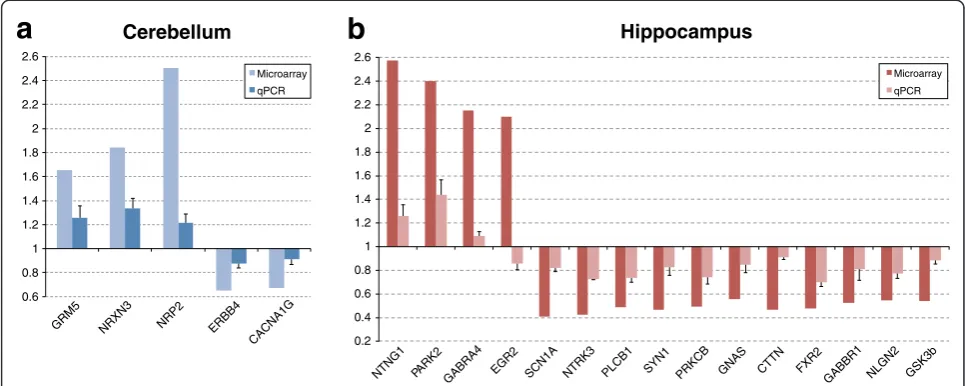 Figure 5 Quantitative PCR validation of differentially expressed genes.the expression of WT (mean ± s.e.m of three replicates from pools of four animals per genotype; A selected number of differentially expressed genes in the En2−/−cerebellum (a) and hippo