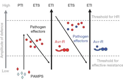 Figure 1.1: The zigzag model, capturing the interactions between the plant andthe pathogen.The initial defence response, known as PTI, is triggered throughthe detection of conserved compounds the pathogen relies on for basic functionality.The pathogen can 