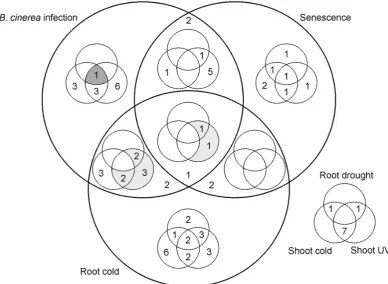 Figure 2.5: The number of modules identiﬁed for each combination of conditions.Three conditions are represented by large circles; the other three by small circles.root response to cold and shoot response to UV light are shaded light grey