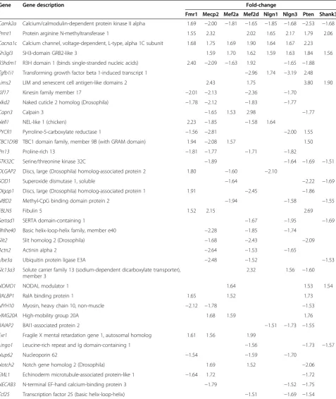 Table 3 Autism spectrum disorder interactome genes significantly altered by three or more shRNA treatments