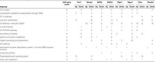 Table 4 Canonical pathways in NextBio that were significantly enriched following ASD gene-targeted shRNAconstructs, but not affected by luciferase shRNA