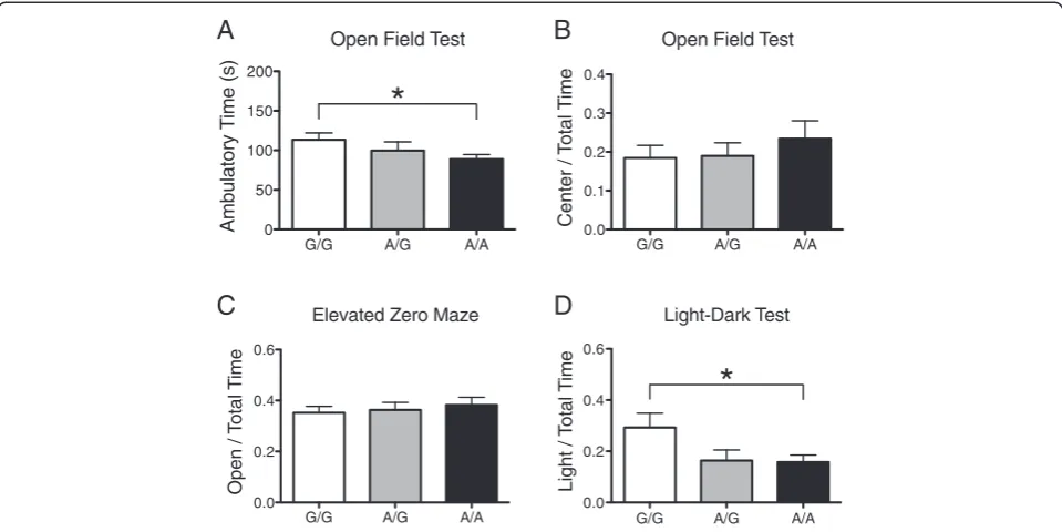 Figure 1 Activity and anxiety-like behavior in male B6 SERT Ala56 knock-in mice. A) Time (mean, standard error of the mean) spentambulating during the first 5 minutes in the open field for wildtype littermate controls (G/G, n = 20), heterozygous (A/G, n = 