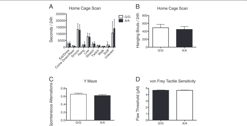 Figure 3 Home cage, exploratory, and sensory behavior in male B6 SERT Ala56 knock-in mice