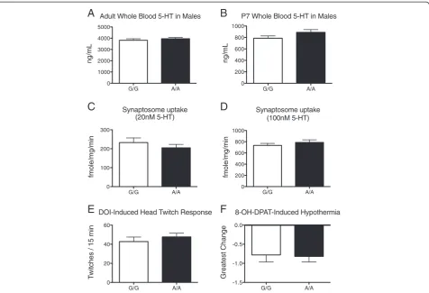 Figure 4 Assays of the serotonin system in B6 SERT Ala56 knock-in mice. A)adult male wildtype littermate control (G/G, n = 6) and homozygous SERT Ala56 (A/A, n = 6) mice;postnatal day 7 (n = 12 per genotype); Whole blood serotonin levels (mean, standard error of the mean) in B) Whole blood serotonin levels in male pups at C) Synaptosome uptake of 20 nM 3H5-HT during a 5-minute assay at 37°C, (n = 6 per genotype, with 3replicates for each subject); D) Synaptosome uptake of 100 nM 3H5-HT during a 5-minute assay at 37°C (n = 6 per genotype, with 3 replicates for eachsubject); E) Head twitch response to injection of the 5-HT2 agonist 2,5-dimethoxy-4-iodoamphetamine (DOI) during a 15-minuteobservation period (n = 12 per genotype); F) Decrease in rectal temperature from baseline in response to injection of the mixed 5-HT1A/7agonist 8-OH-DPAT (n = 10 per genotype).