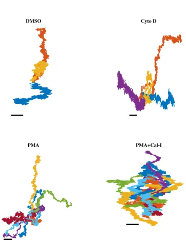 Figure 2.9:LFA-1 trajectories categorised as immobile (state model).to (0,0). Each trajectory is plotted in a diﬀerent colour