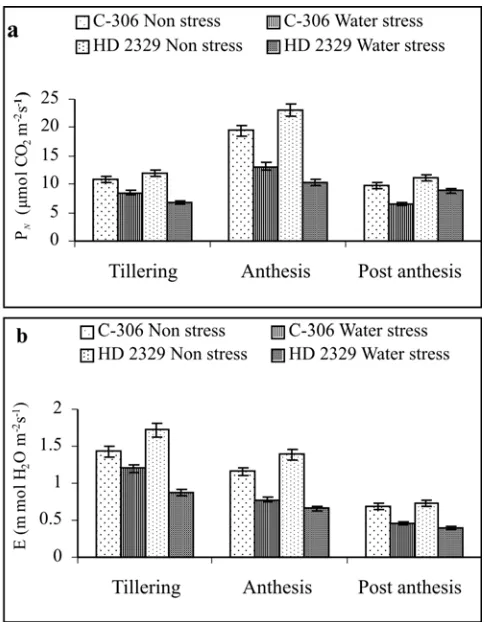 Fig. 2. Effect of water stress on (a) stomatal conductance (b)internal carbon dioxide concentration in wheat