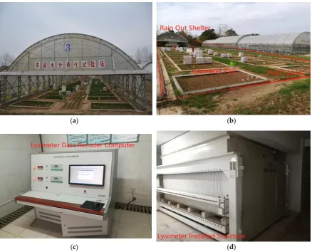 Figure 3. (a–b) Field layout with and without rain-out shelter, (c) Lysimeter data recorder computer (Figure 3.d) Lysimeter installed structure  (a–b) Field layout with and without rain-out shelter, (c) Lysimeter data recorder computer (d)Lysimeter installed structure