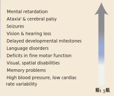 FIGURE 4. Effects of prenatal exposure 37