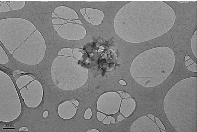 Figure 2.12. TEM image (imaged without staining on GO) showing the aggregated 