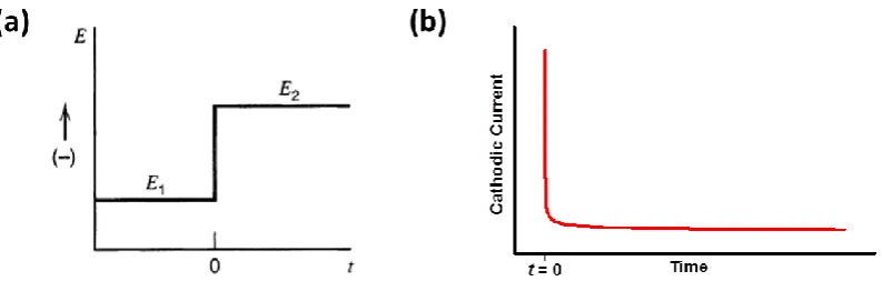 Figure 1.5. A potential step experiment for a reduction of electroactive species. (a)  The potential of the WE is stepped instantaneously from E1 where no Faradaic current is generated to a value E2 where the analyte is reduced