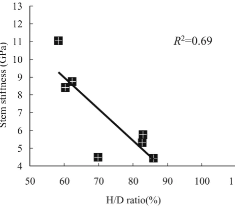 Fig. 4. Relationship between H/D ratio and stem stiffness of Tosaaka grown with different plantation spacing