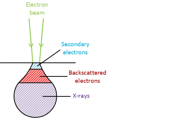 Fig. 2.12 Schematic showing the interaction volume of the incident electrons in 