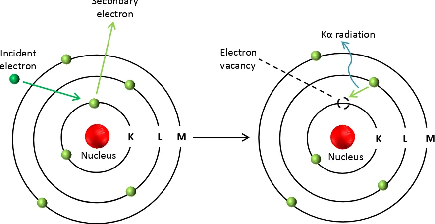 Fig. 2.14 Diagram showing the interaction of an incident electron with an atom in 