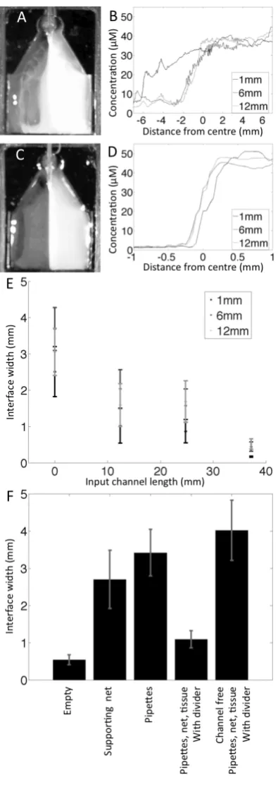 Figure 2.3: Dye characterisation of solutioninterface width. (A) Image of bath region ofchamber with 0 mm channels supplied with aﬂuorescent solution to left and water to theright.Signiﬁcant mixing can be seen aris-ing from inertial instability
