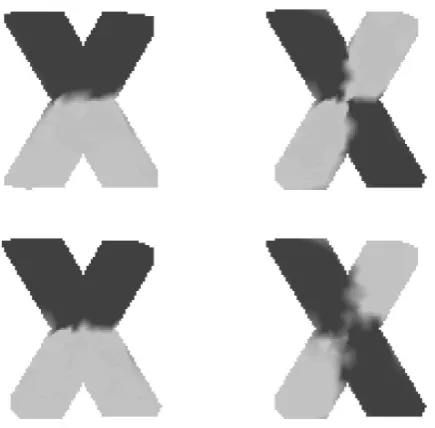 Figure 6.2: The top row shows the minimizers of Eofeither 0 or 1. The left column is conditioned to have 0 in the bottom corners and 1 in the topcorners
