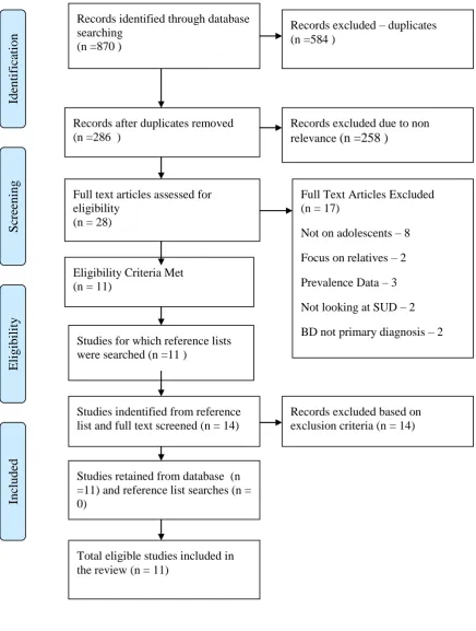 Figure 1. Systematic Search Strategy  