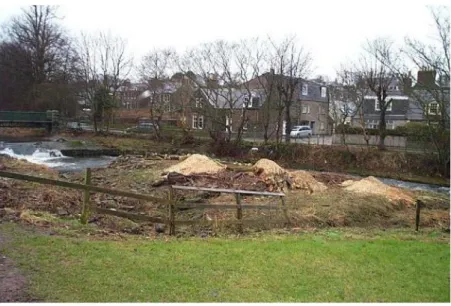 Figure 3 Tree clearing prior to river engineering works 