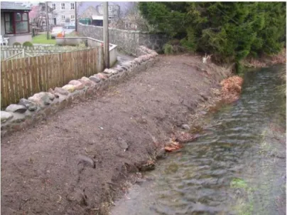 Figure 4  X  Poor practice: vegetation cleared and bare soil exposed to allow construction of  floodwall leaving risk of bank erosion during a high flow event and rainfall run-off causing 
