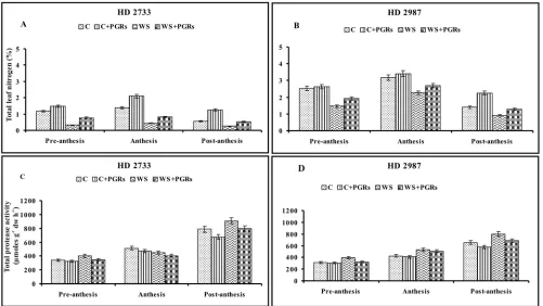 Fig. 2. Combined effect of cytokinin {Thidiazuron; TDZ (0.01 μ100 L/L)}, paclobutrazol (PBZ; 30 μL/L) and ascorbic acid (AsA;μL/L) on total leaf nitrogen (%) (A & B) and total protease activity (μmoles g-1dw h-1) (C & D) at three different growthstages in two contrasting cultivars affected by water deficit stress in wheat.